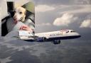 Barney the guide dog has taken his final flight