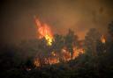 Flames rise during a forest fire on the Greek island of Rhodes last month