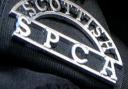 Scottish SPCA appeal after cat found inside discarded sofa at waste depot