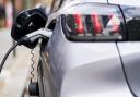 Bacteria could be used to recover critical metals from electric vehicle batteries