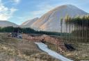 Scottish Woodlands to plant 3,000 hectares of new trees n 2024