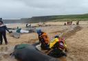 Isle of Lewis whale stranding leaves lingering heartbreak and a hunt for answers