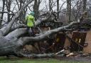 Workers remove a tree that fell on an electricity substation on the Kinnaird estate in Larbert during Storm Isha