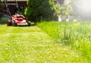 Can’t mow the lawn because it’s sodden? There is another way
