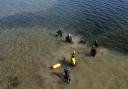 A group of snorkellers swim across the seagrass meadow led by Seawilding at Craignish
