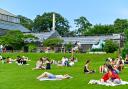 Sunbathers beware! Your tanning days may be terminated. (If scientists can figure out how it can be done.)