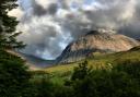 Dog rescued from Scottish mountain after apparently eating cannabis