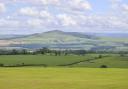 'It would seem the Scottish Borders is having a moment'