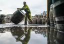 Scotch whisky distillers have welcomed the breakthrough on US tariffs (Photo by Peter Summers/Getty Images)