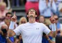 LONDON, ENGLAND - JUNE 21:  Andy Murray of Great Britain celebrates victory in his men's singles final match against Kevin Anderson of South Africa during day seven of the Aegon Championships at Queen's Club on June 21, 2015 in London, England.