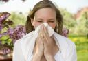 Hayfever is not fun. Picture: PA Photo/thinkstockphotos
