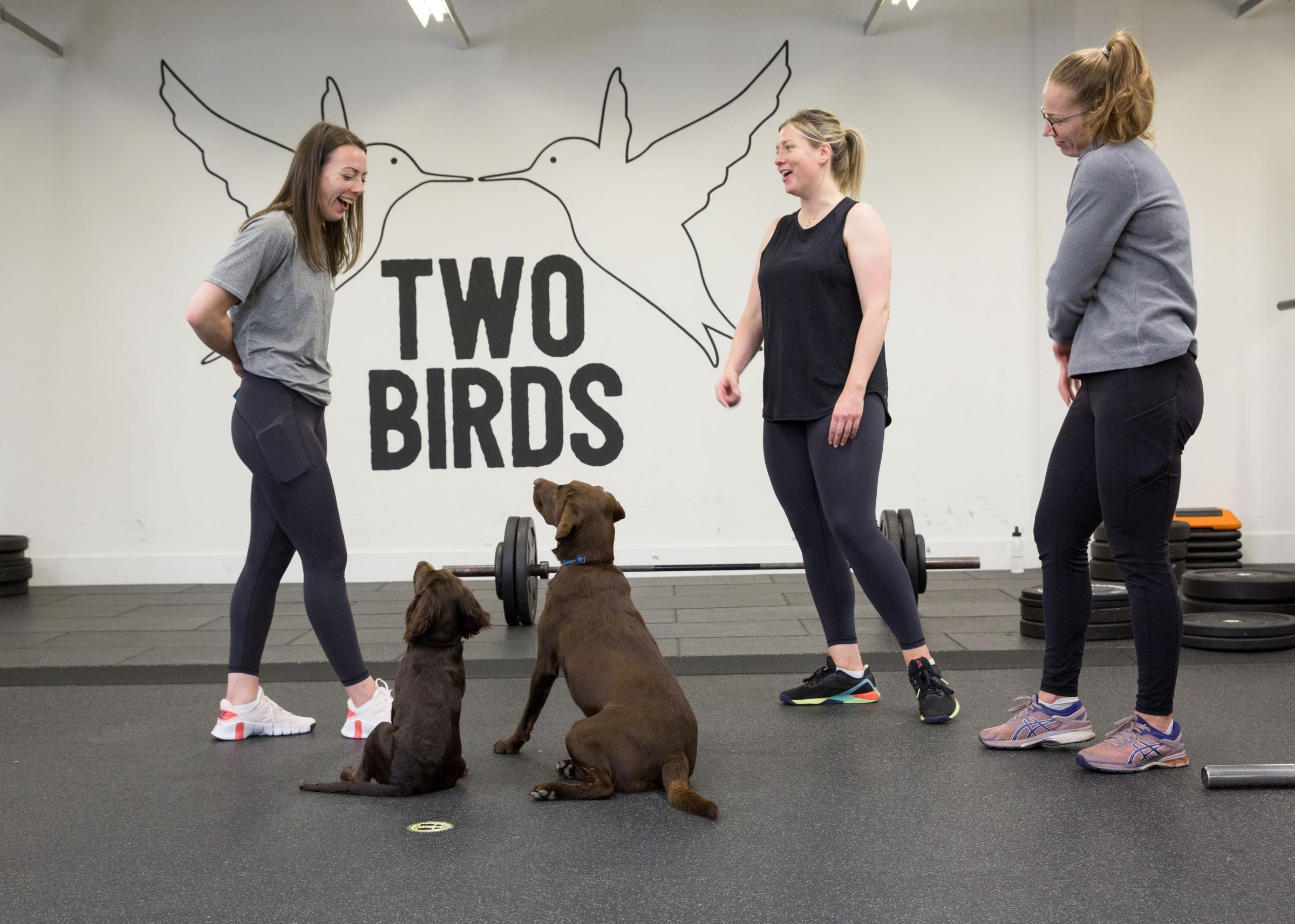 Two Birds Boutique Fitness with Danny Stevenson, who runs the boutique Glasgow gym Two Birds – where your dogs can come in as well. Picture Robert Perry.