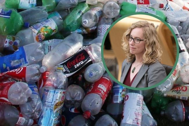 Greens ‘put US hedge fund ahead of Scots businesses’ in bottle scheme – NewsEverything Scotland