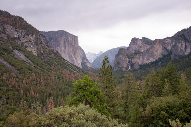 The family went missing near Yosemite national park (Photo by Smith Collection/Gado/Getty Images)..