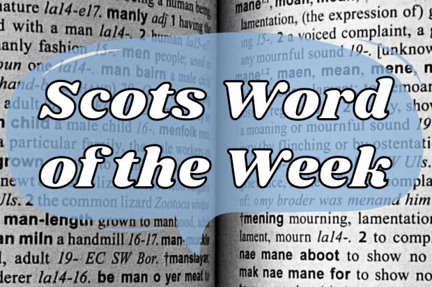 Scots Word of the Week: Stug