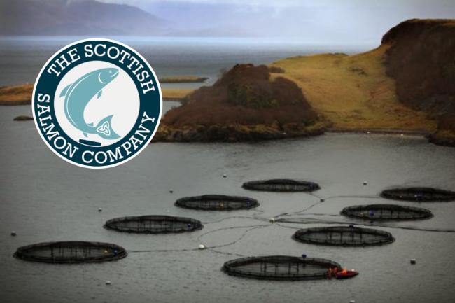 A generic image of a fish farm in Scotland.  Photograph: Jeff J Mitchell/Getty Images