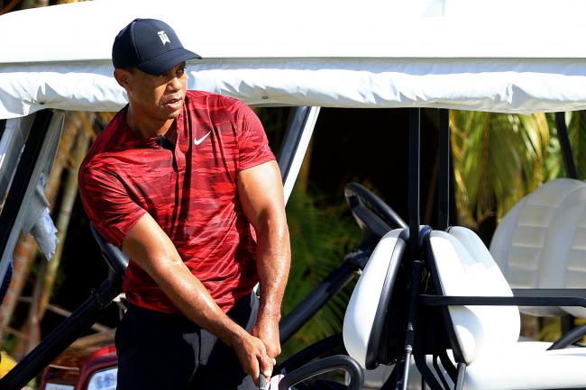 Tiger Woods fever set to take golfing world by storm again - Nick Rodger