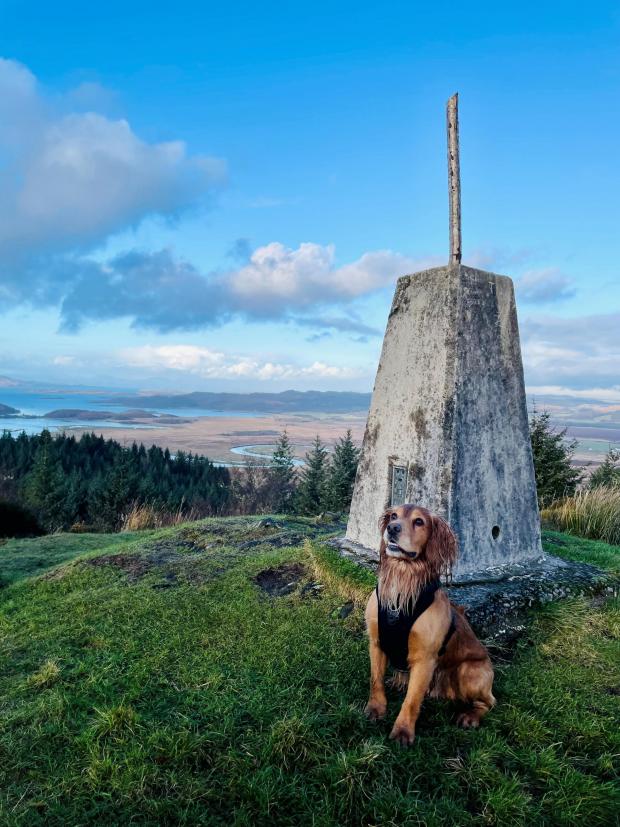 HeraldScotland: The scenic route of the Dunardry Forest Trails, Crinan, Argyll. Picture: Lawrie McMillan