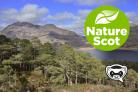 Internal ScotGov wildlife agency email suggest 'no strategy' to tackle natural sites decline