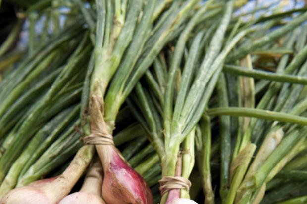 Dave prefers growing shallots from bulbs

Picture: PA Photo/Thinkstockphotos