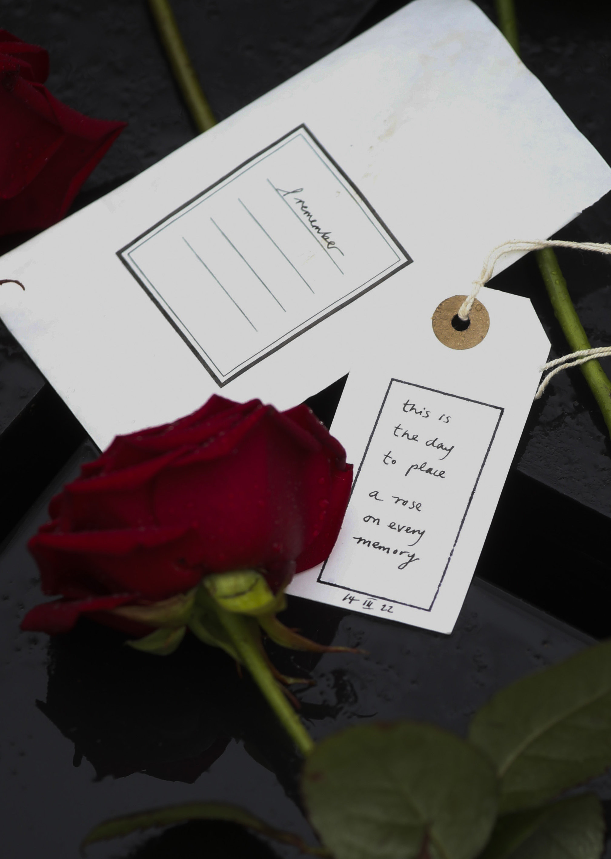 A red rose was placed on a box with I remember messages buried at Pollok Country Park.