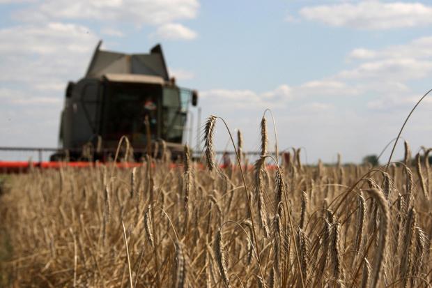 Ukraine exports grain which is vital to millions of people in Africa, parts of the Middle East and South Asia, who are already facing food shortages and, in some cases, famine.
