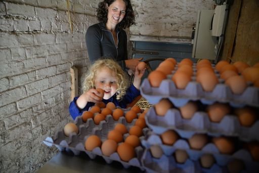 Alison Younger and her family have diversified the farm business