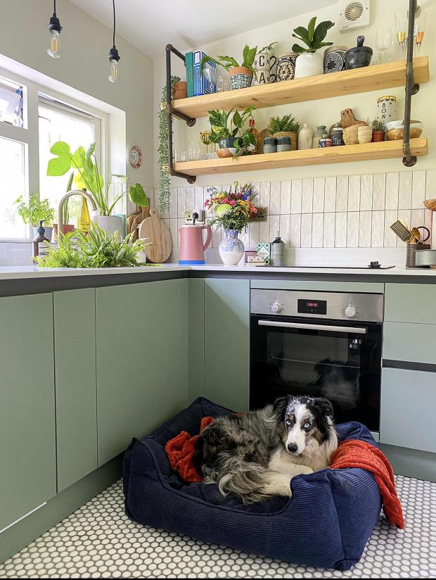 HeraldScotland: The kitchen of Lorne Cottage, Fort William with collie Ghost. Picture: Ciara McCartney