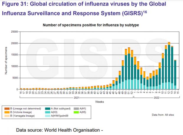 HeraldScotland: Global surveillance shows a rise in flu compared to 2021, dominated by an unidentified subtype of Influenza A