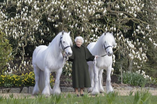 The Queen, who celebrates her birthday next week, with her Fell ponies Bybeck Nightingale and Bybeck Katie 		   Picture: henrydallalphotography.com

handout photo may only be used in for editorial reporting purposes for the contemporaneous illustration