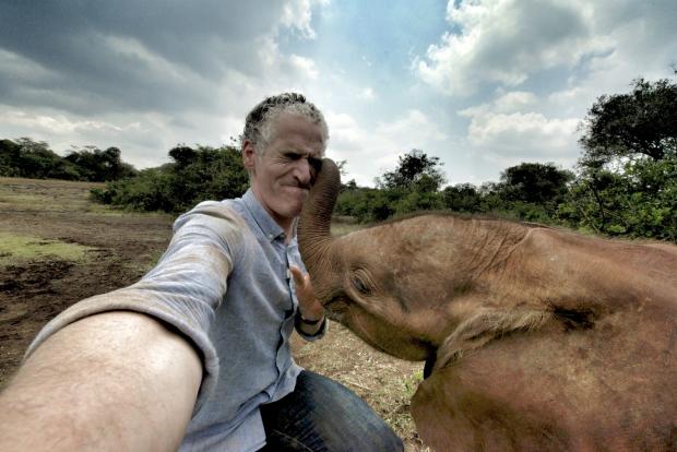 HeraldScotland:  Gordon Buchanan takes a selfie with a young elephant. Picture: Gordon Buchanan