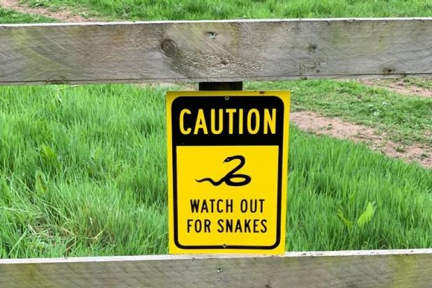 Foster Evans spotted this sign in a Borders golf course, and wonders if it’s a warning to dodge pythons and cobras lurking in the bunkers. Or perhaps it’s an ungracious reference to the murkier club members.