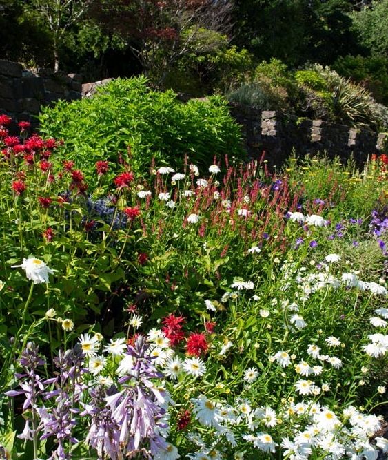 Garden of the week: Cottage garden is a charming spot to visit