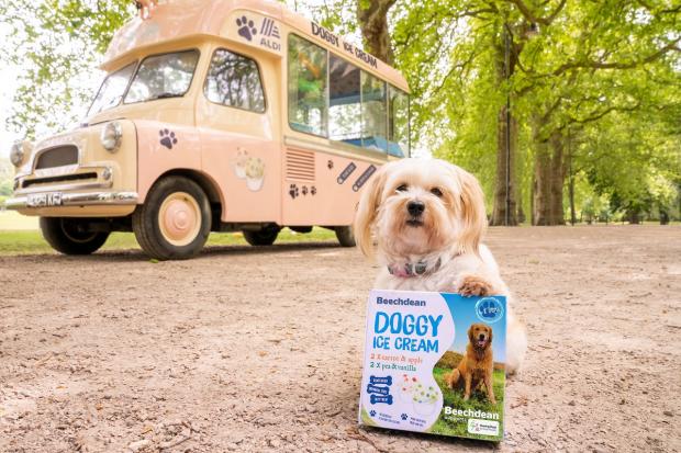 HeraldScotland: The doggy ice cream comes in two flavours irresistible to tail-waggers. Picture: Aldi 