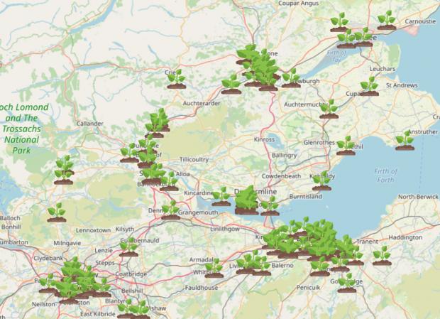 HeraldScotland: Giant Hogweed Locations Map. Credit: WhatShed