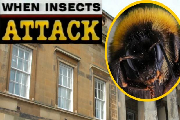 Ayr Sheriff Court. Bee picture: Rory Lewis; logo taken from This Morning With Richard Not Judy [Stewart Lee/Richard Herring]