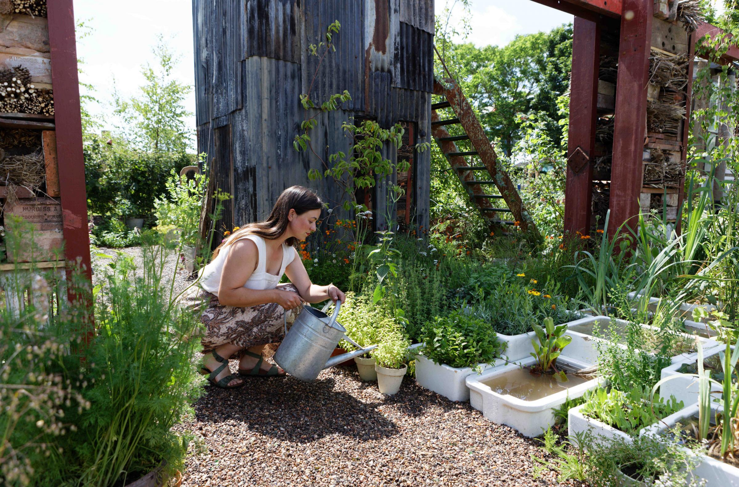 TV gardener Frances Tophill: Create a sustainable garden out of old junk and rich planting