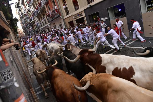 People run through the streets with fighting bulls and steers during the first day of the running of the bulls at the San Fermin Festival in Pamplona, northern Spain, Thursday, July 7, 2022. Revelers from around the world flock to Pamplona every year for
