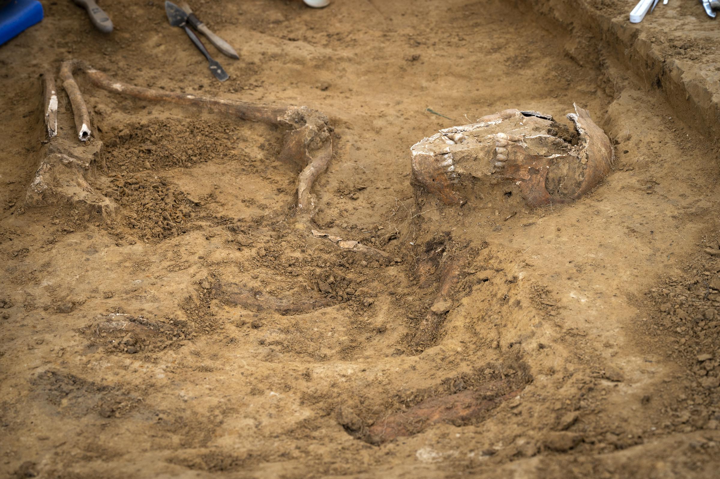 Skull and arms were among the remains discovered