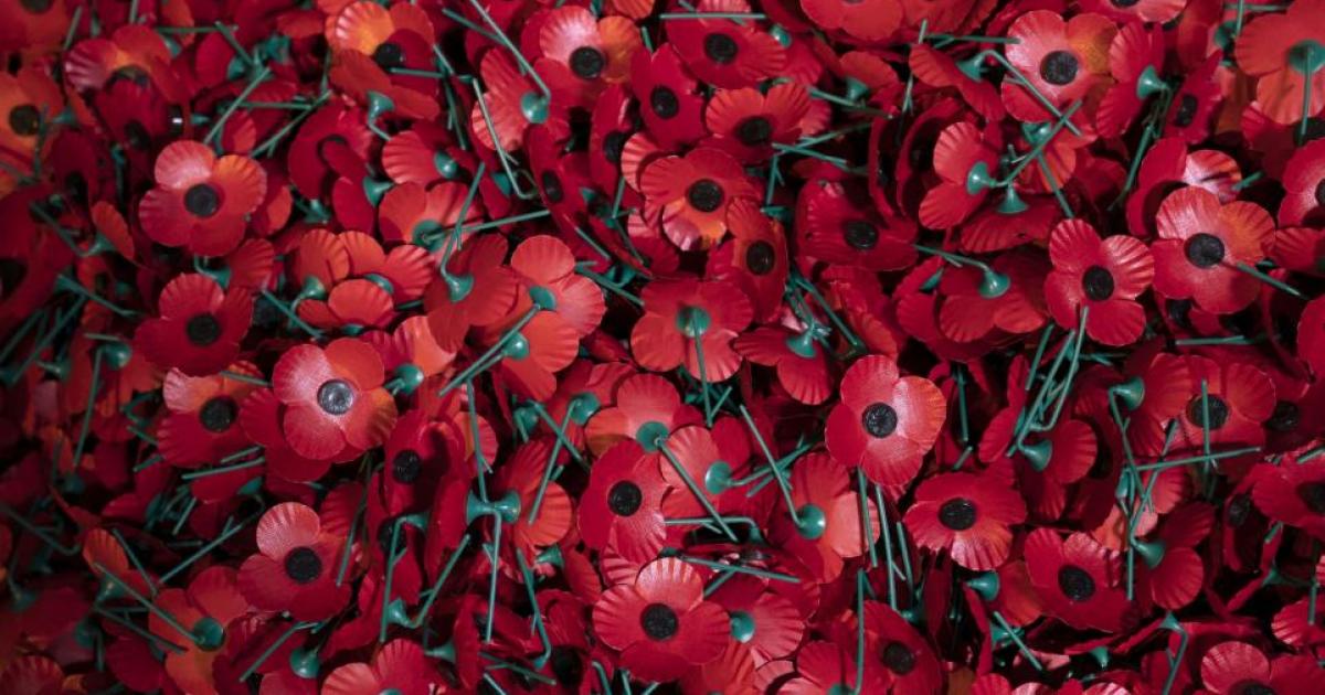 Why I can't risk wearing a poppy this year