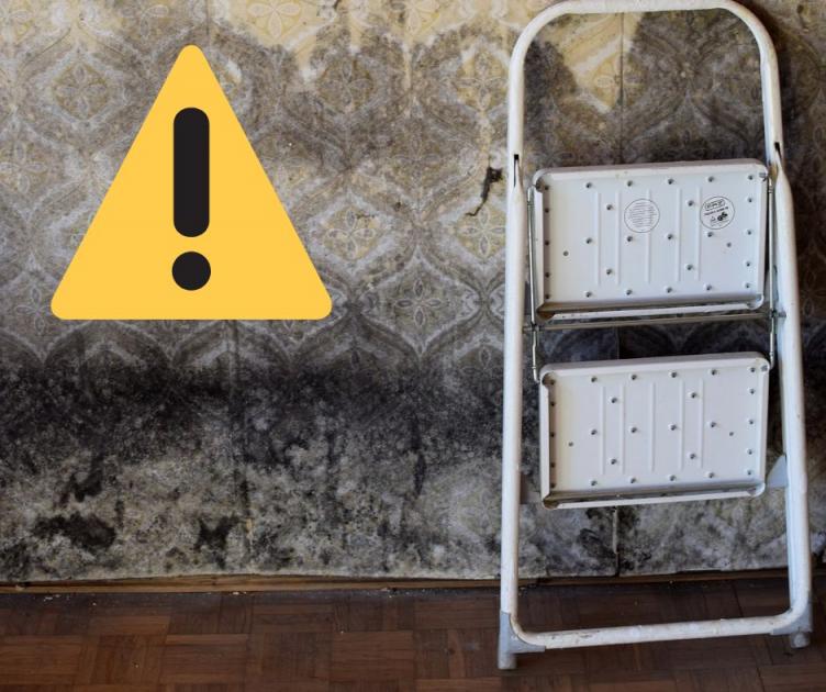 Scots environmental health expert warns of home mould risks