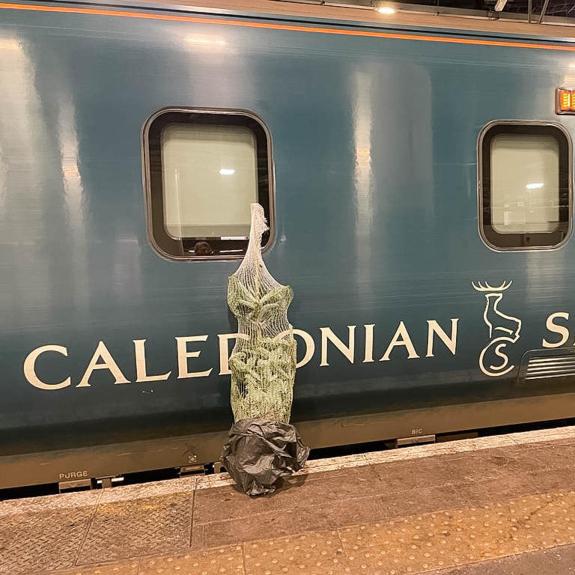 The Herald: The Christmas tree prepares to board the Caledonian Sleeper The Herald: The Christmas tree prepares to board the Caledonian Sleeper