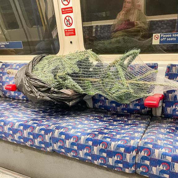 The Herald: The tree on the tube The Herald: The tree on the tube