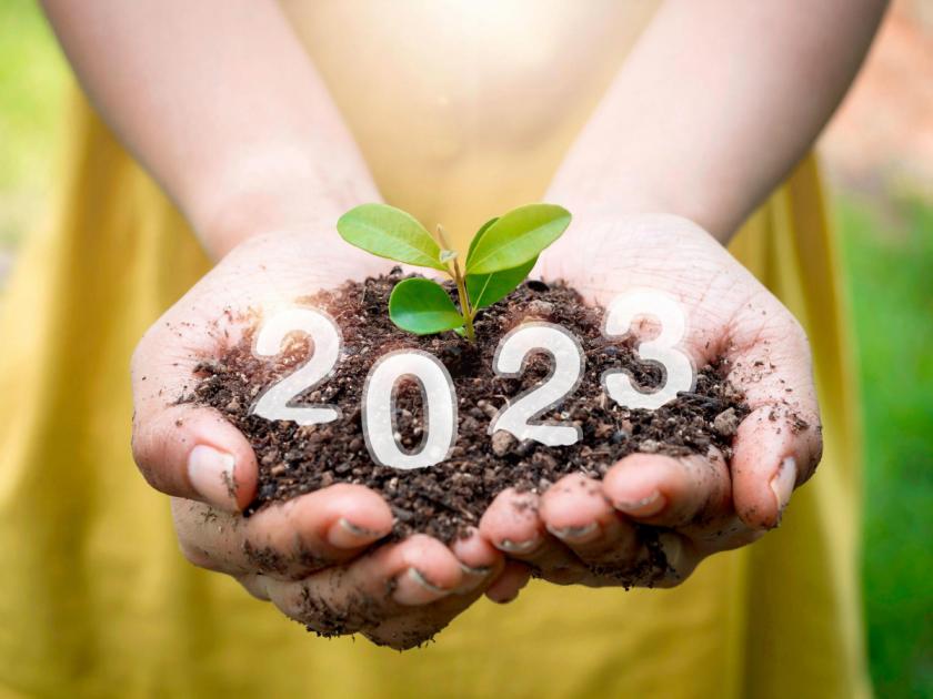 Gardening trends for 2023 – Experts make their predictions