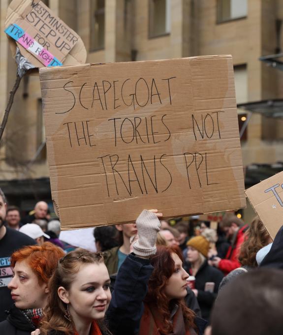 The Herald: The Herald: