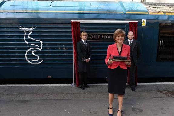 The Herald: The Herald: