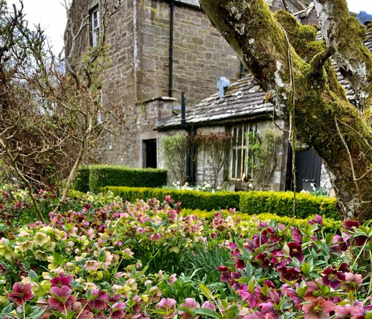 Pitmuies Gardens: Where romance blooms in scented borders – NewsEverything Scotland