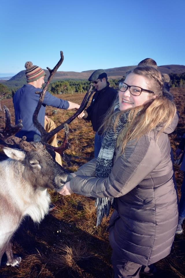 Kate Britton feeding a reindeer in the Cairngorms – although wild reindeer went extinct in Britain long ago, the Cairngorm herd are a free-roaming herd of domestic reindeer that were imported to Scotland from Sweden. Image: Kate Britton)