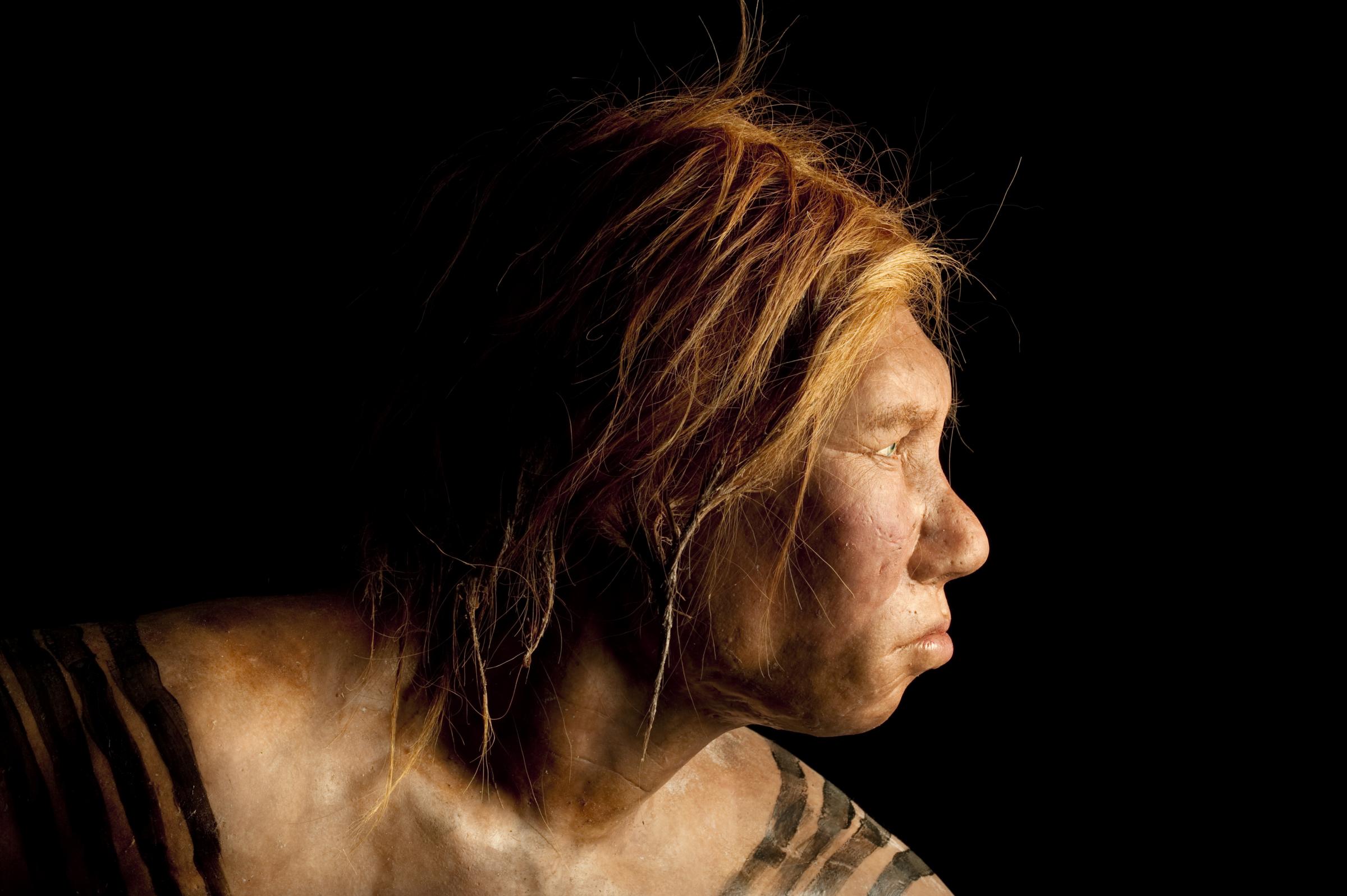 Neanderthals Revealed - The Neanderthal woman as re-created by the Kennis brothers, photographed in and around Asturias, Spain on April 26 & 27, 2008.