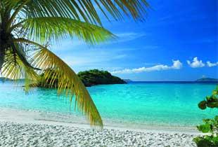 HeraldScotland: Jamaica offers gorgeous beaches and lush vegetation